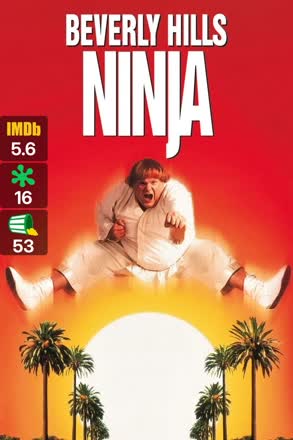 beverly hills ninja