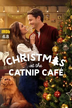 christmas at the catnip café