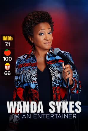 wanda sykes im an entertainer