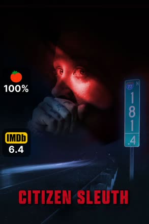 citizen sleuth