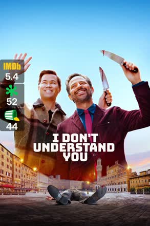 i dont understand you