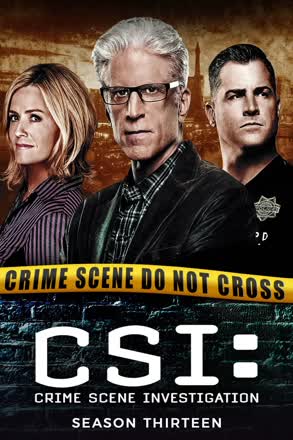 CSI: Crime Scene Investigation_0013