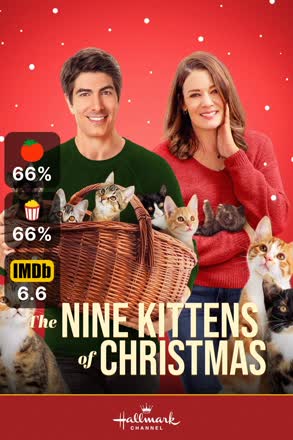 nine kittens of christmas