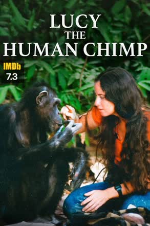 lucy the human chimp