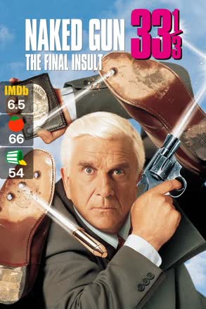 naked gun 33 the final insult