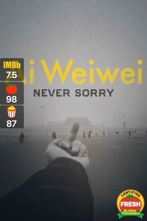 ai weiwei never sorry