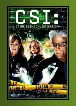 CSI: Crime Scene Investigation_0012