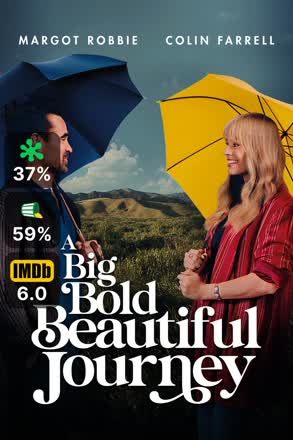 big bold beautiful journey